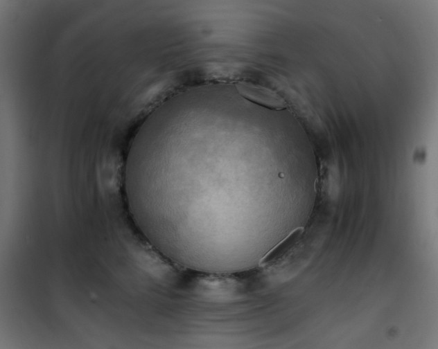 X0000101460712200807071431