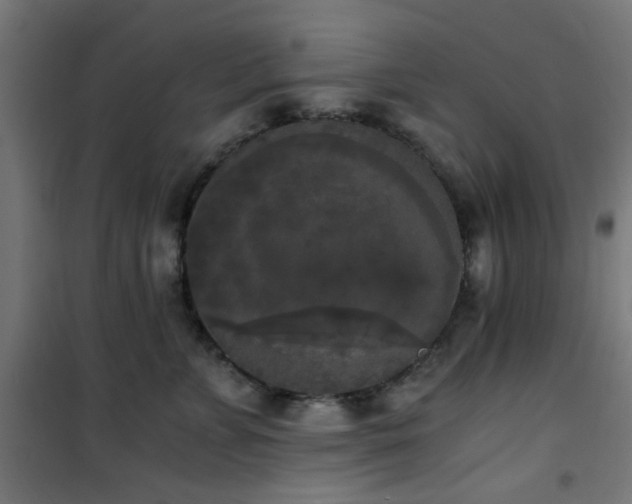 X0000101460715200807071431
