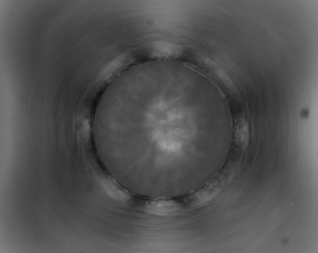 X0000101460716200807071431