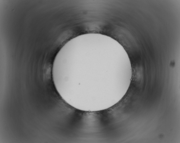 X0000101460717200807071431