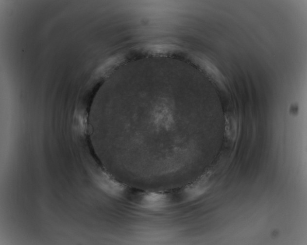X0000101460718200807071430