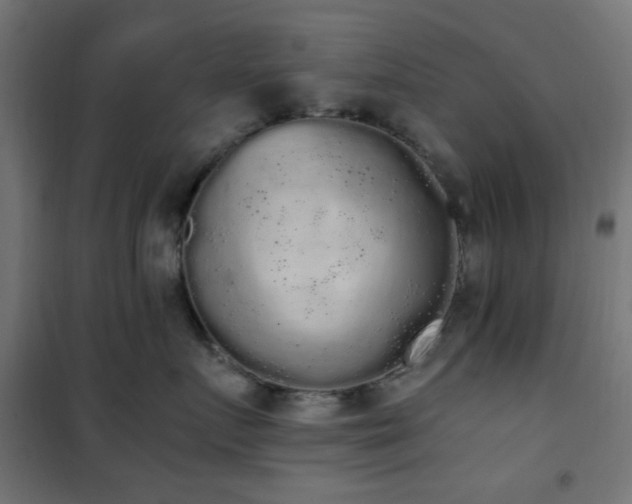 X0000101460719200807071430