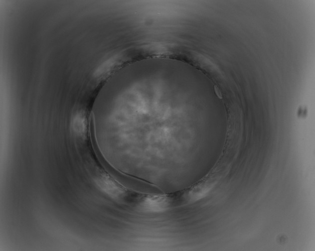 X0000101460720200807071430