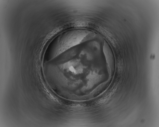 X0000101460721200807071430