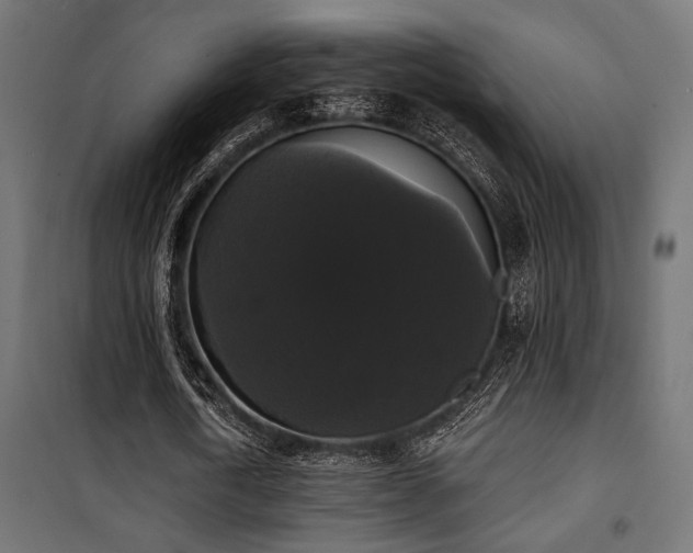 X0000101460722200807071430