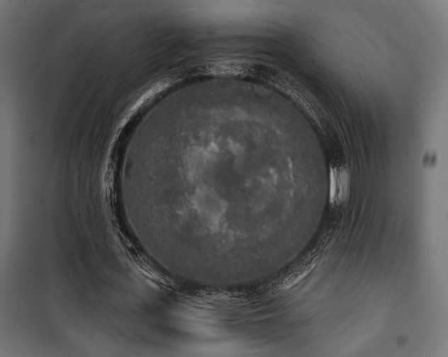 X0000101460723200807071430