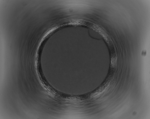 X0000101460724200807071430
