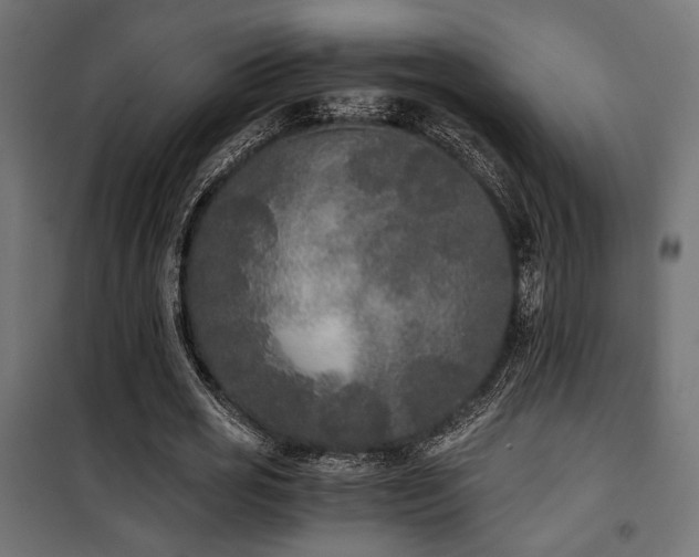 X0000101460725200807071430