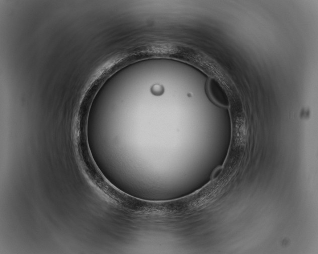 X0000101460726200807071430