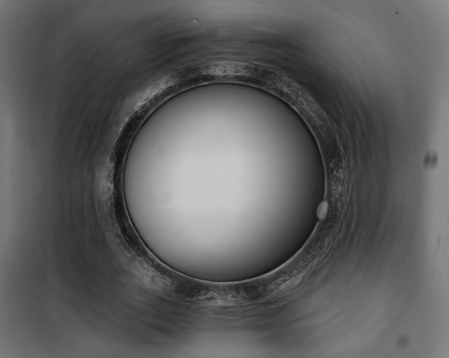X0000101460727200807071430