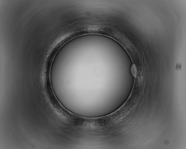 X0000101460728200807071430