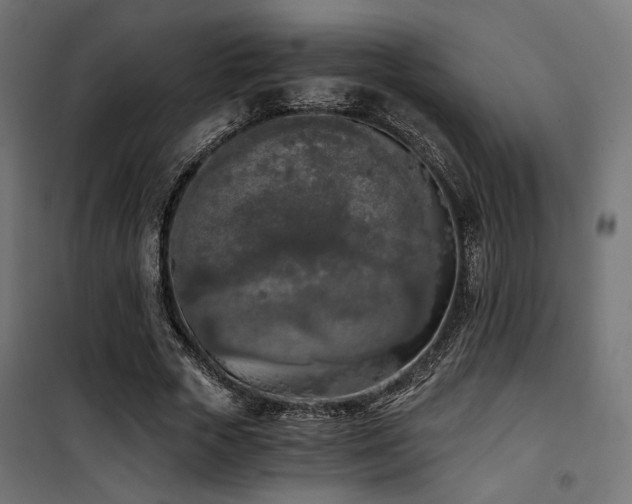 X0000101460729200807071430