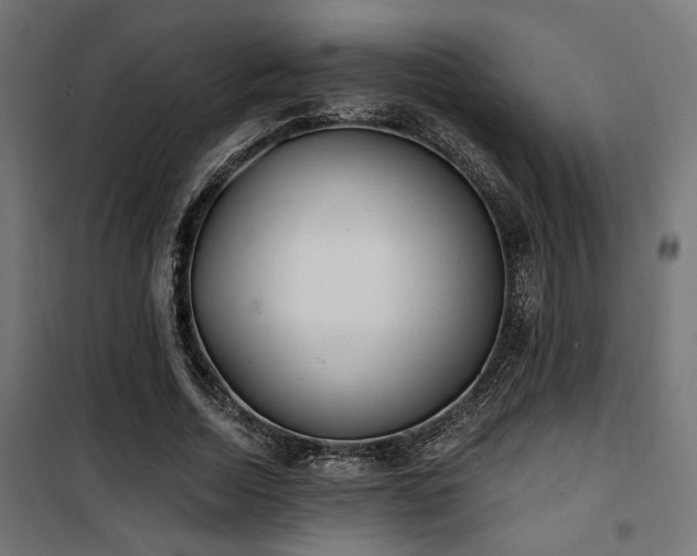 X0000101460730200807071430