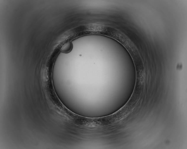 X0000101460731200807071430