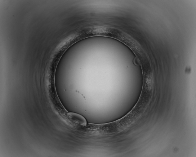 X0000101460732200807071430