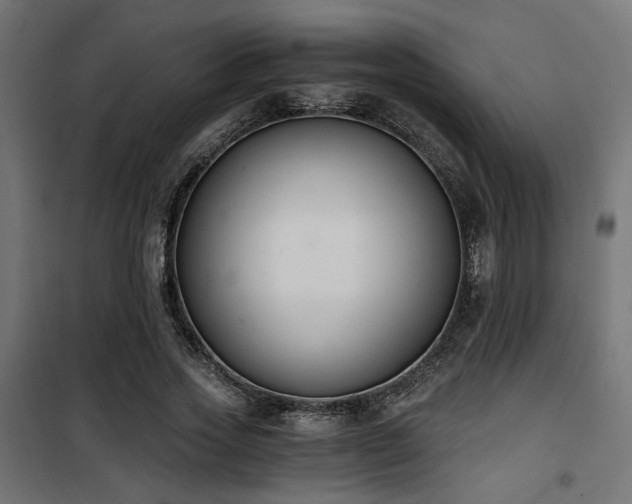 X0000101460733200807071430