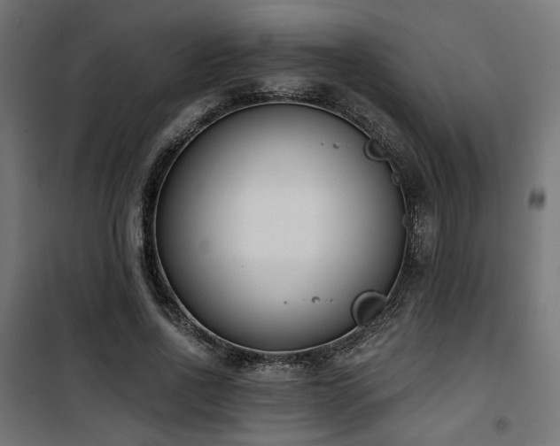 X0000101460734200807071430