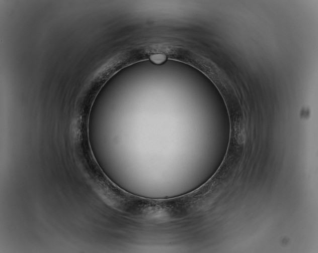X0000101460735200807071430