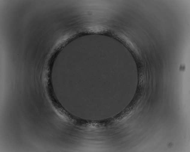 X0000101460736200807071430