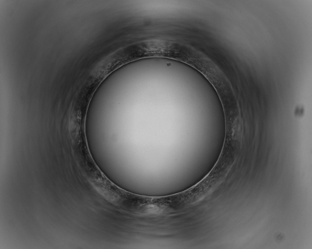 X0000101460737200807071430