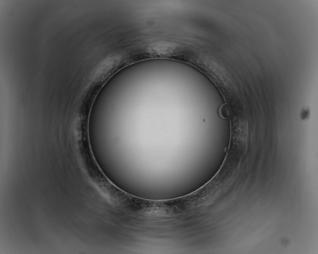 X0000101460738200807071430