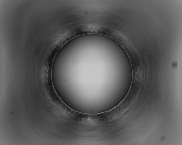 X0000101460739200807071430