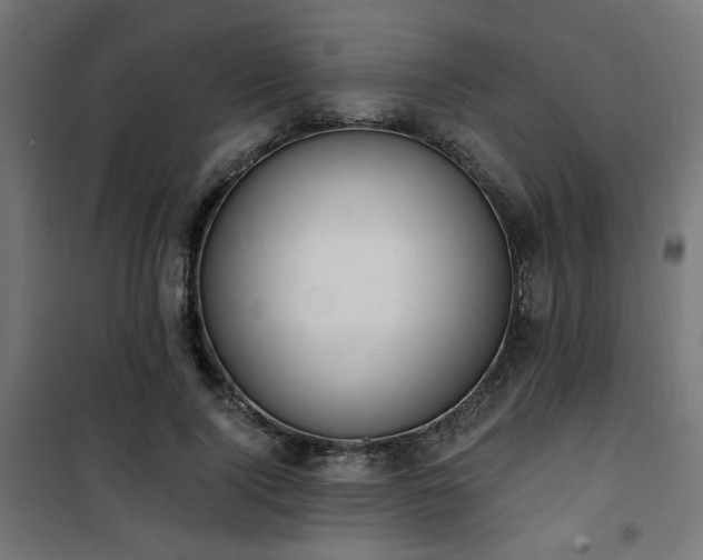 X0000101460740200807071430