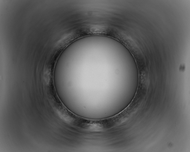 X0000101460741200807071430