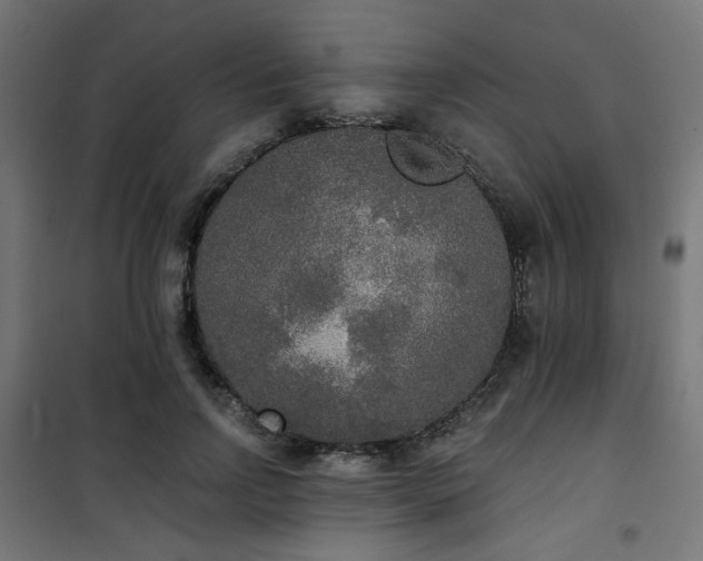 X0000101460742200807071430