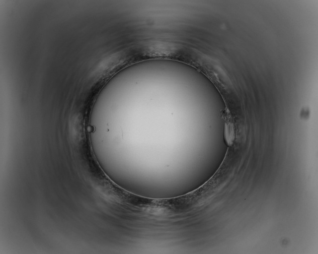 X0000101460743200807071430