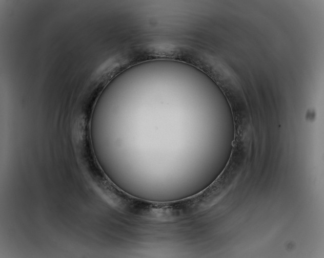 X0000101460744200807071430
