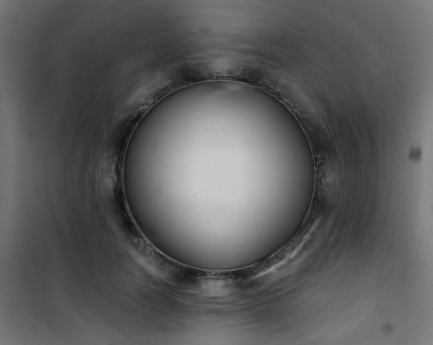 X0000101460746200807071430