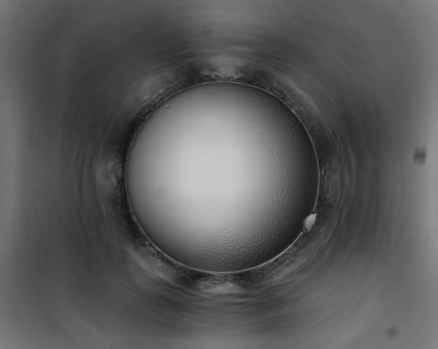 X0000101460747200807071430