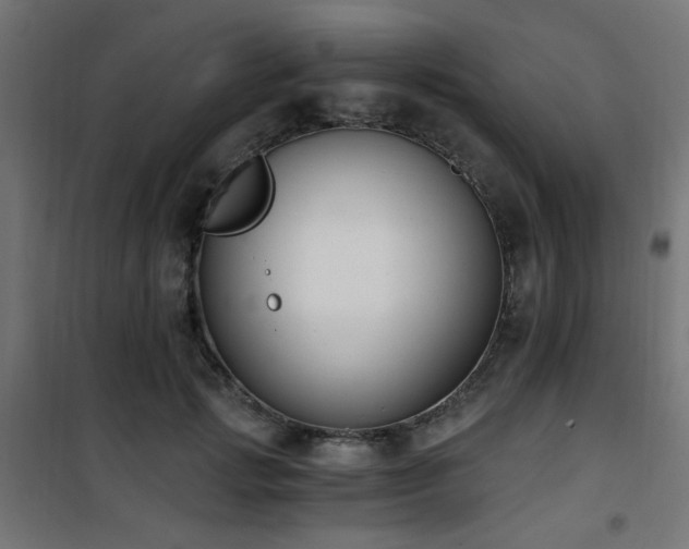 X0000101460749200807071430