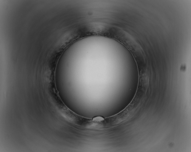 X0000101460750200807071430