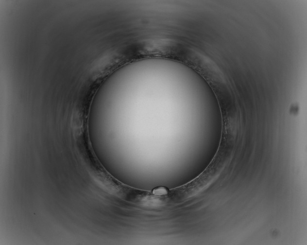 X0000101460751200807071430