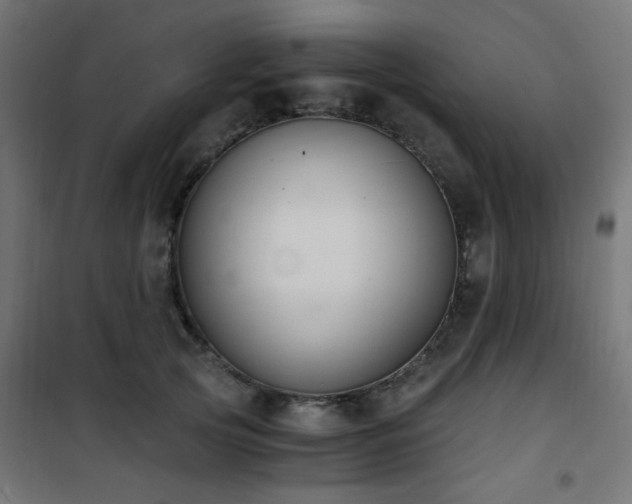 X0000101460753200807071430