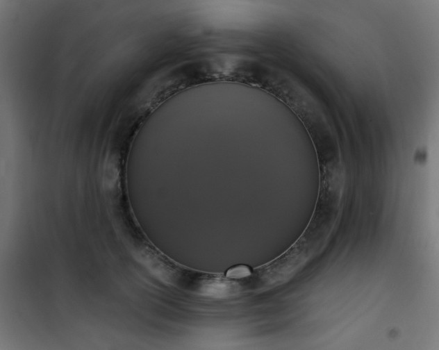 X0000101460754200807071430