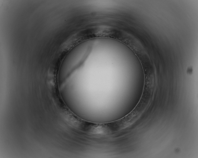 X0000101460755200807071430