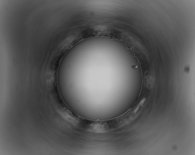 X0000101460756200807071430