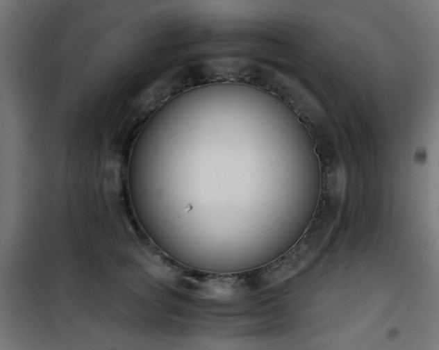 X0000101460757200807071430