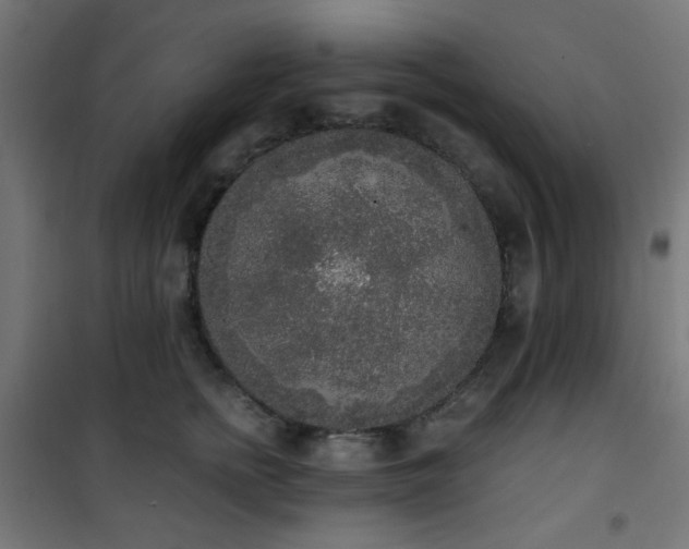 X0000101460758200807071430