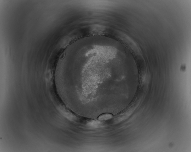 X0000101460759200807071430