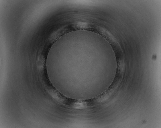 X0000101460760200807071430