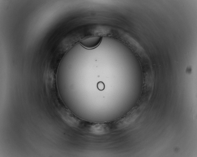X0000101460761200807071430