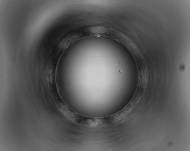 X0000101460762200807071430