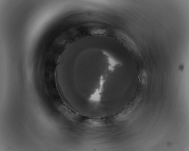 X0000101460763200807071430