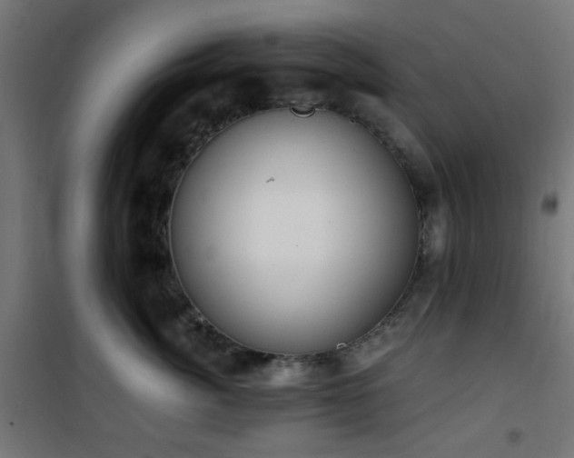 X0000101460764200807071430