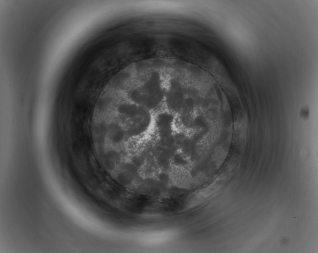 X0000101460765200807071430