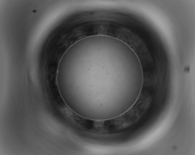 X0000101460766200807071430